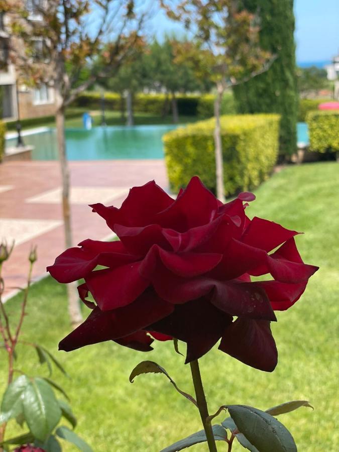 Provence Deluxe Apartment In Atia Resort Chernomorets Luaran gambar