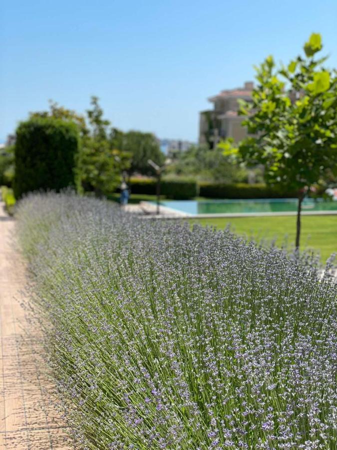 Provence Deluxe Apartment In Atia Resort Chernomorets Luaran gambar